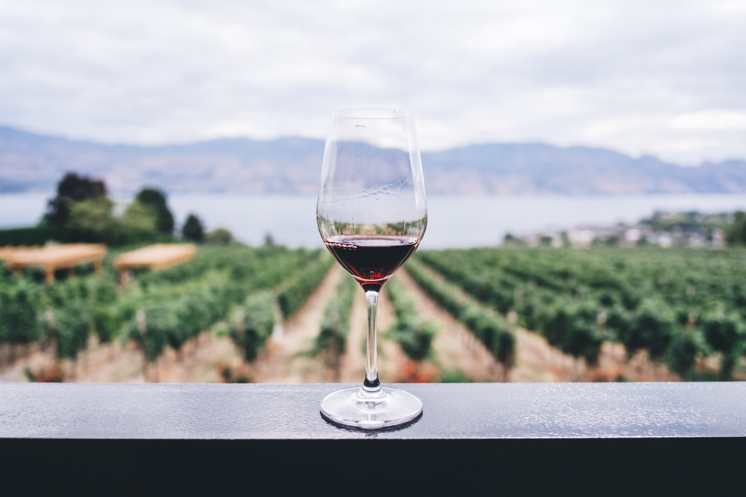 Vino e innovazione: un connubio vincente